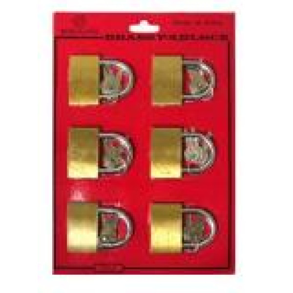 8643 Padlock 50Mm 6/Card